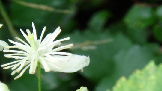 DSC00101_original